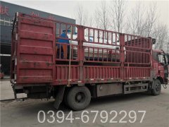 3吨燃气锅炉价格查询