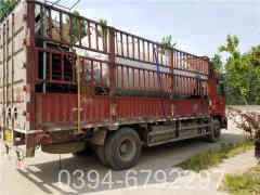 燃油燃气锅炉公司