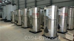 燃天然气蒸汽锅炉