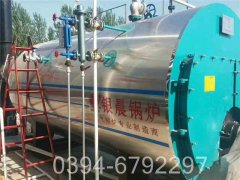 环保推荐太康锅炉WNS型500公斤蒸发量天然气锅炉耗气量