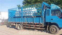 浴池专用锅炉价格