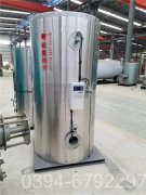 节能蒸汽锅炉厂