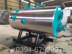 四吨低氮冷凝蒸汽锅炉