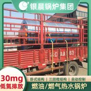 WNS12-1.25-QY冷凝蒸汽锅炉乐竞官方网站