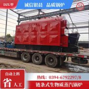 WNS20-1.25-QY三回程蒸汽锅炉乐竞官方网站