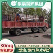 WNS0.7-1.0-QY节能蒸汽锅炉乐竞官方网站