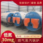 WNS0.7-1.0-QY燃气蒸汽锅炉乐竞官方网站