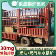 0.3吨液化气蒸汽锅炉太康县银晨锅炉厂