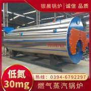 0.3吨低氮蒸汽锅炉乐竞官方网站