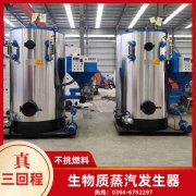 16蒸吨燃气蒸汽锅炉