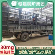 生物质环保锅炉