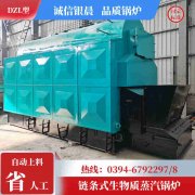 甲醇热水锅炉多少钱