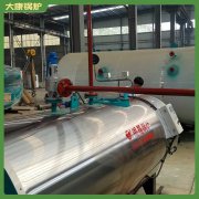 双燃料蒸汽锅炉3吨 4吨环保节能